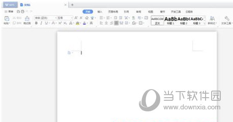 WPS Office2021专业增强版