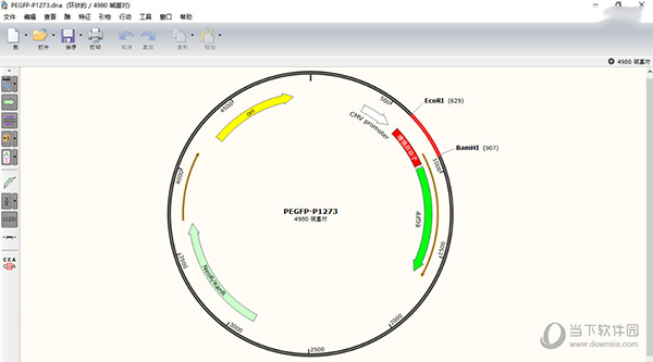 SnapGene