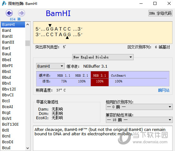 SnapGene破解版Win10