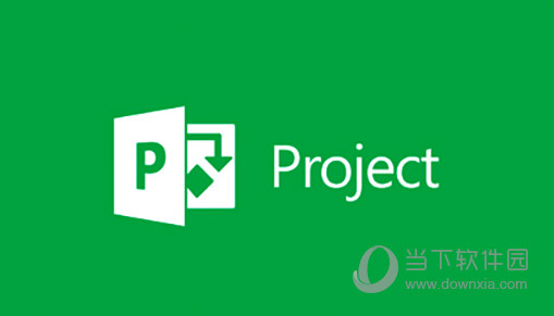 Project Professional 2019破解版