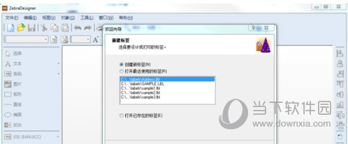 ZebraDesigner3破解版