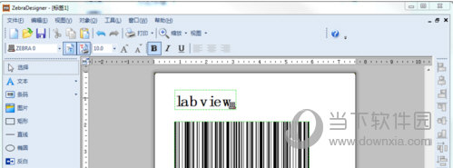 ZebraDesigner3破解版