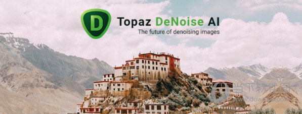 Topaz DeNoise AI汉化破解版