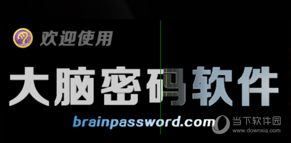 大脑密码脑力速读合版