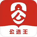 公选王