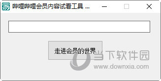 哔哩哔哩会员解锁工具