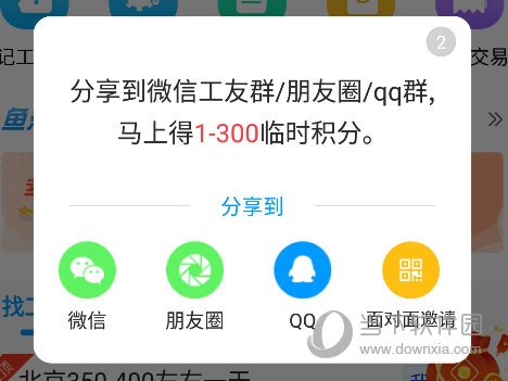 鱼泡网APP