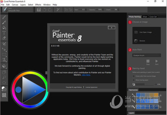 Painter Essentials8