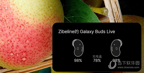 Galaxy Buds Manager