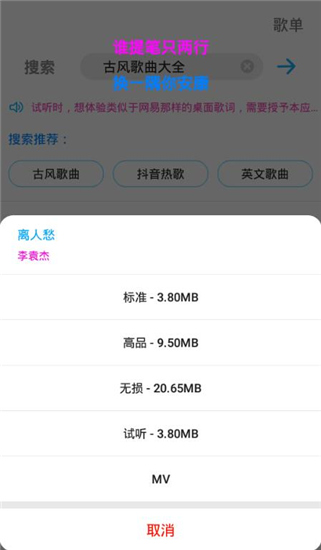 歌词适配APP最新版 2023 V4.1.0.V4 安卓版截图5