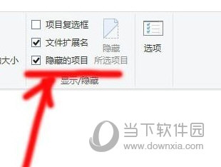 显示隐藏的项目