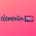 elementor pro汉化补丁 绿色免费版