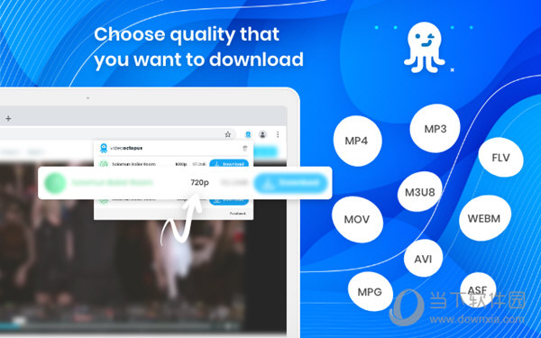 Video Octopus