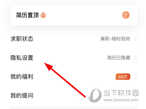 点击“隐私设置”