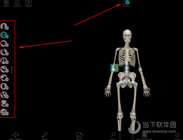 Human Anatomy Atlas电脑版
