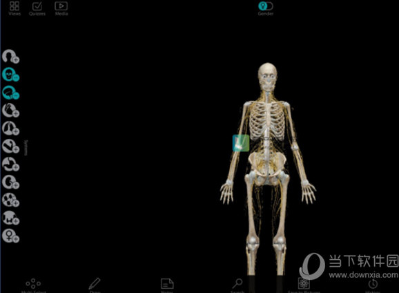 Human Anatomy Atlas电脑版