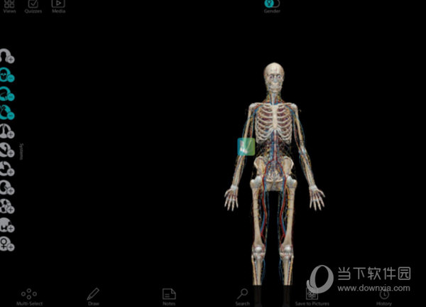 Human Anatomy Atlas电脑版