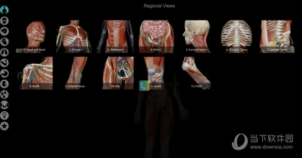 Human Anatomy Atlas电脑版