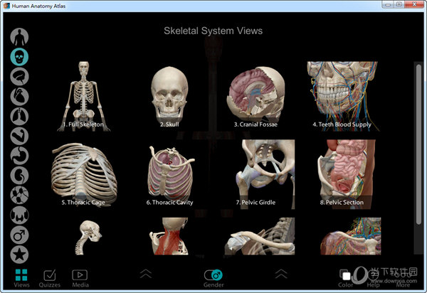 human anatomy atlas 2019破解版