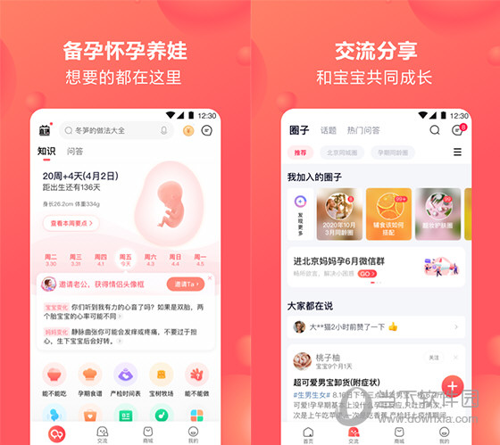 宝宝树孕育电脑版