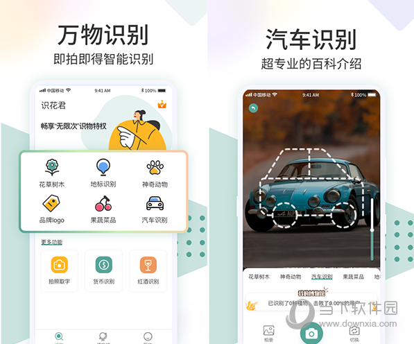 识花君电脑版