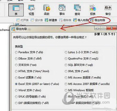 导出向导