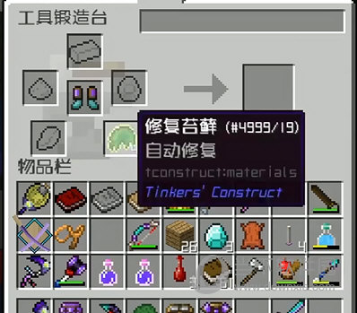 修复苔藓