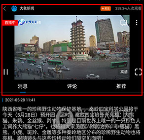 大象新闻怎么看直播