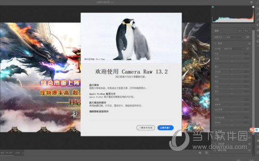 Cameraraw中文版