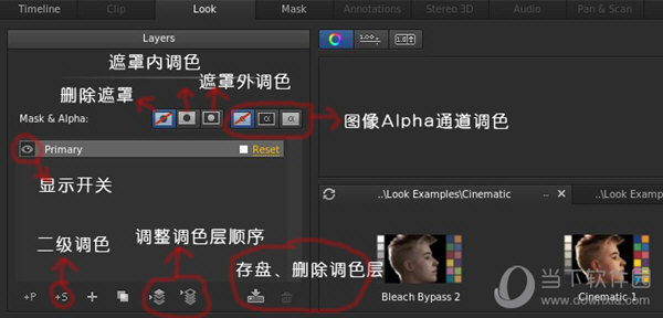 speedgrade 2019中文破解版下载