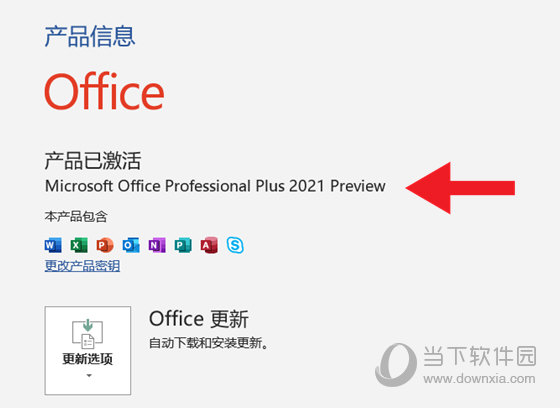 Office 2021 LTSC专业增强版