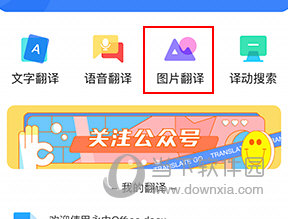 翻译狗怎么翻译照片