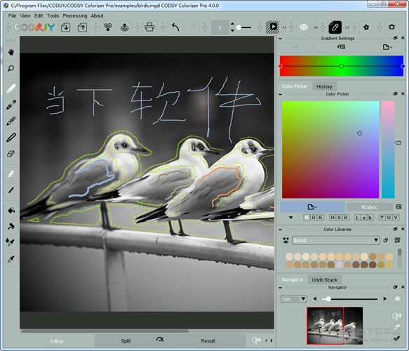 CODIJY Colorizer Pro