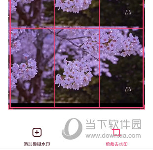 字说视频APP