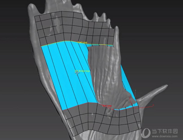 topologik