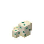 海龟蛋