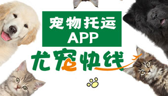 宠物托运APP