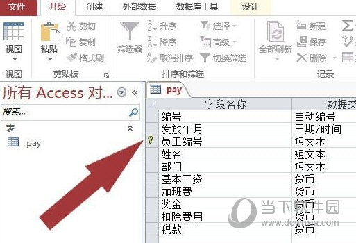 Access2016软件