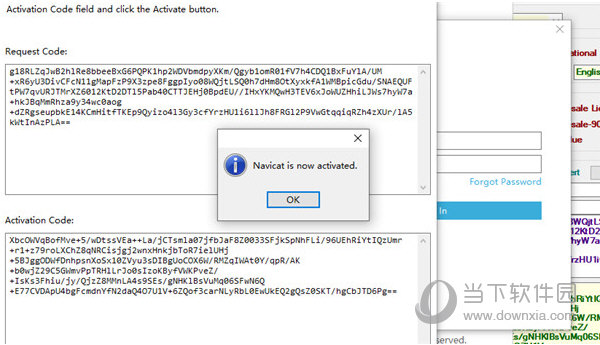 navicat15激活工具