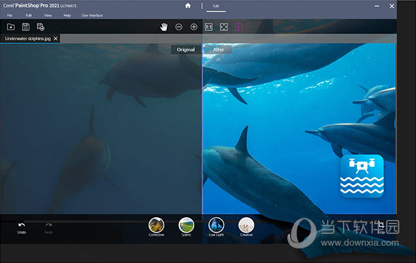paintshop pro 2021
