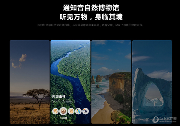 miui13