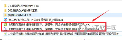 双冠家园qsv qlv kux全能格式转换器