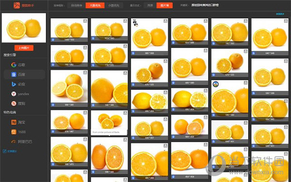 ImageSearchAssistant