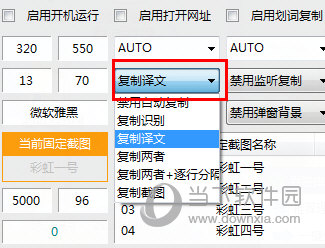 识别后是否自动复制