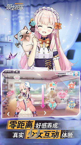 双生视界