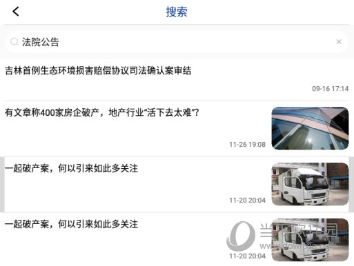 输入“法院公告”