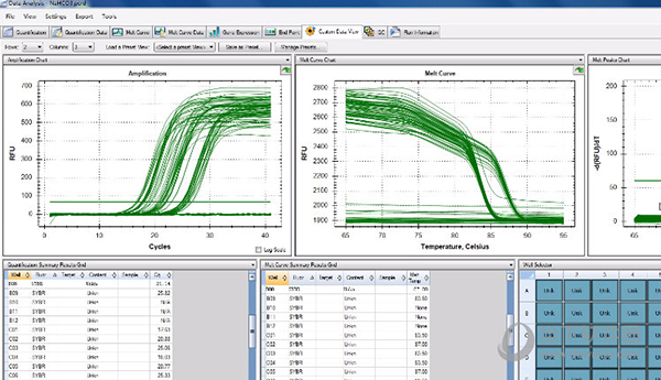 cfx manager