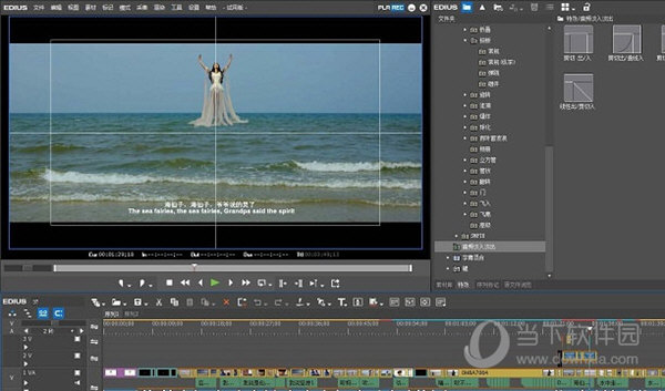 EDIUS Pro 8