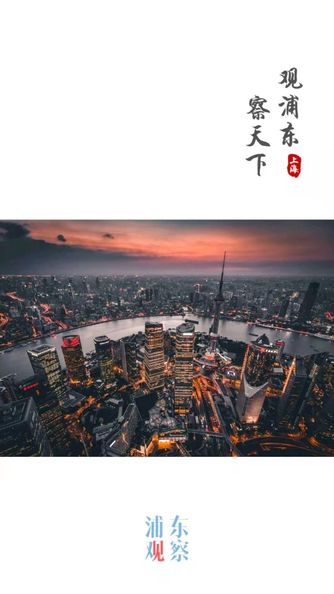 浦东观察 V4.0.0 安卓版截图5