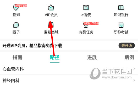 点击“VIP会员”